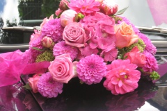 isti_tasha_hochzeit_005