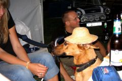 ab06_056-gr