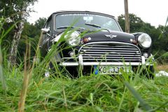 ab06_090-gr