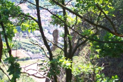 DCP_4421