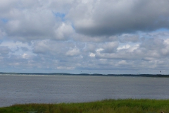 imm2007_-035