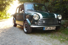 SoFe13_031