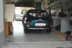 Mini_in_the_Garden_02