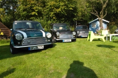 Mini_in_the_Garden_04