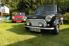 Mini_in_the_Garden_05