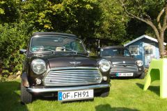 Mini_in_the_Garden_07